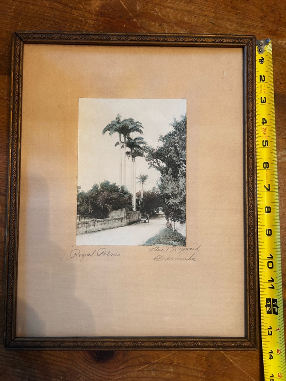 Orig. SIGNED hand-tinted 1920 photograph by Stuart Hayward. Royal Palms, Bermuda - Picture 9 of 9